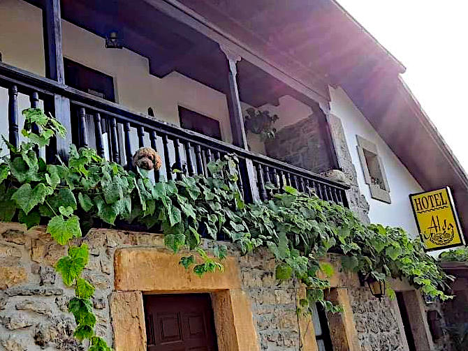 Alda Hotel mascotas
